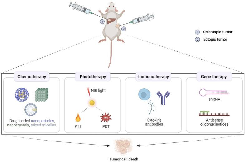 https://cdn.ncbi.nlm.nih.gov/pmc/blobs/93ef/10379388/d9041d9c1da8/gels-09-00593-g002.jpg