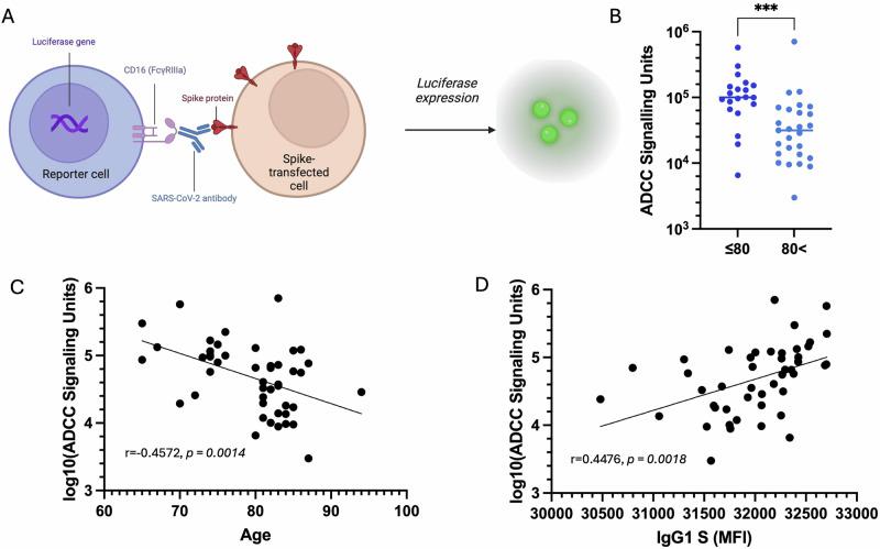https://cdn.ncbi.nlm.nih.gov/pmc/blobs/93ef/12217920/07e150fca154/41541_2025_1196_Fig3_HTML.jpg