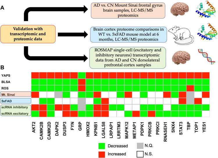 https://cdn.ncbi.nlm.nih.gov/pmc/blobs/93f1/8580310/37c098d6c1b1/sciadv.abi8178-f8.jpg