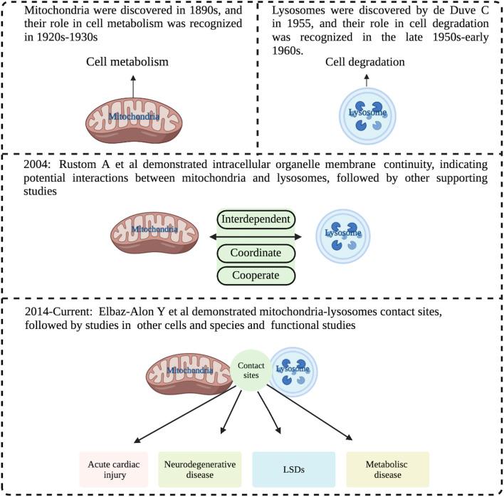 https://cdn.ncbi.nlm.nih.gov/pmc/blobs/93f2/11405319/f60baa3047cf/fphys-15-1431030-g001.jpg