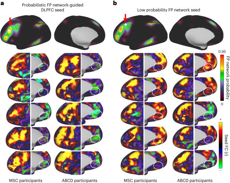 https://cdn.ncbi.nlm.nih.gov/pmc/blobs/93f6/11089006/7ce657390d93/41593_2024_1596_Fig8_HTML.jpg