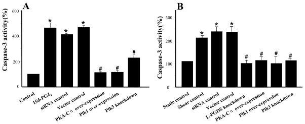 https://cdn.ncbi.nlm.nih.gov/pmc/blobs/93f6/2888831/4eda6fbf8b32/nihms170967f1.jpg