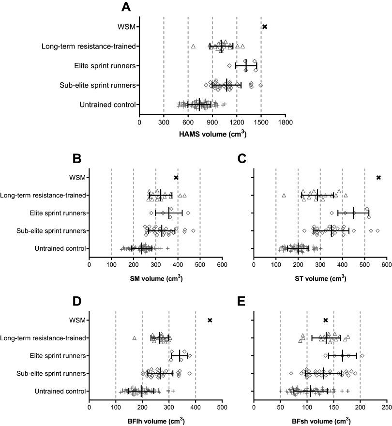 https://cdn.ncbi.nlm.nih.gov/pmc/blobs/93f8/11486472/7f11c04f8bf0/japplphysiol.00342.2024_f005.jpg