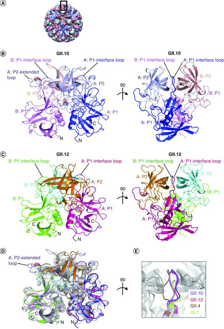 https://cdn.ncbi.nlm.nih.gov/pmc/blobs/93f8/7842250/fc2d369b276a/fmb-16-107-g2.jpg