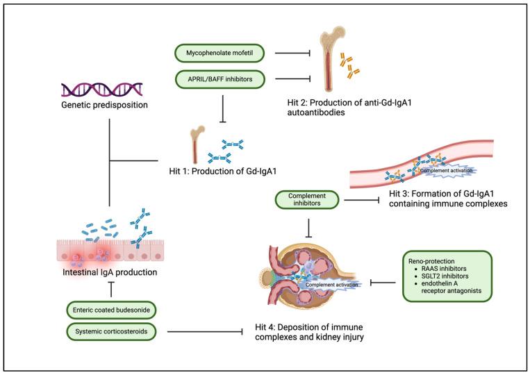 https://cdn.ncbi.nlm.nih.gov/pmc/blobs/93fb/11504437/ed20d0fea2b3/biomedicines-12-02259-g002.jpg
