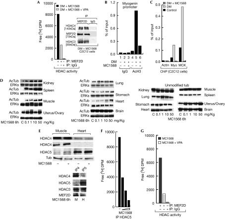 https://cdn.ncbi.nlm.nih.gov/pmc/blobs/93fc/2727421/44c5193be9da/embor200988-f3.jpg