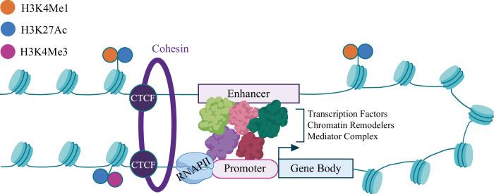 https://cdn.ncbi.nlm.nih.gov/pmc/blobs/93fe/12133568/b81700d35415/44400_2025_12_Fig1_HTML.jpg