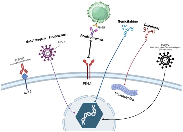 https://cdn.ncbi.nlm.nih.gov/pmc/blobs/93ff/10888316/deb8bef64d68/curroncol-31-00079-g002.jpg