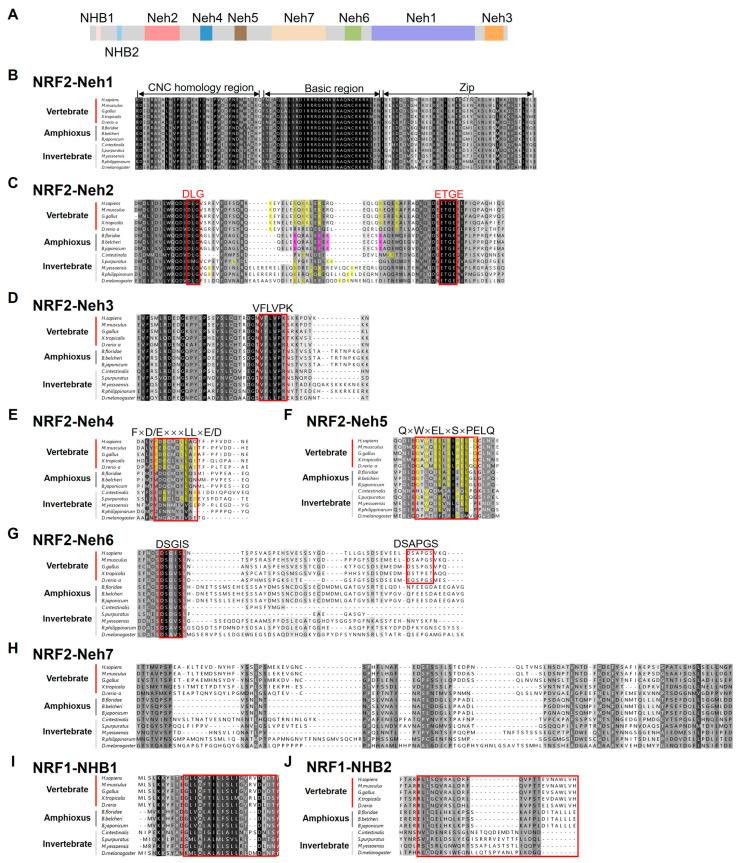 https://cdn.ncbi.nlm.nih.gov/pmc/blobs/9401/11989980/63b76659b865/ijms-26-03427-g003.jpg