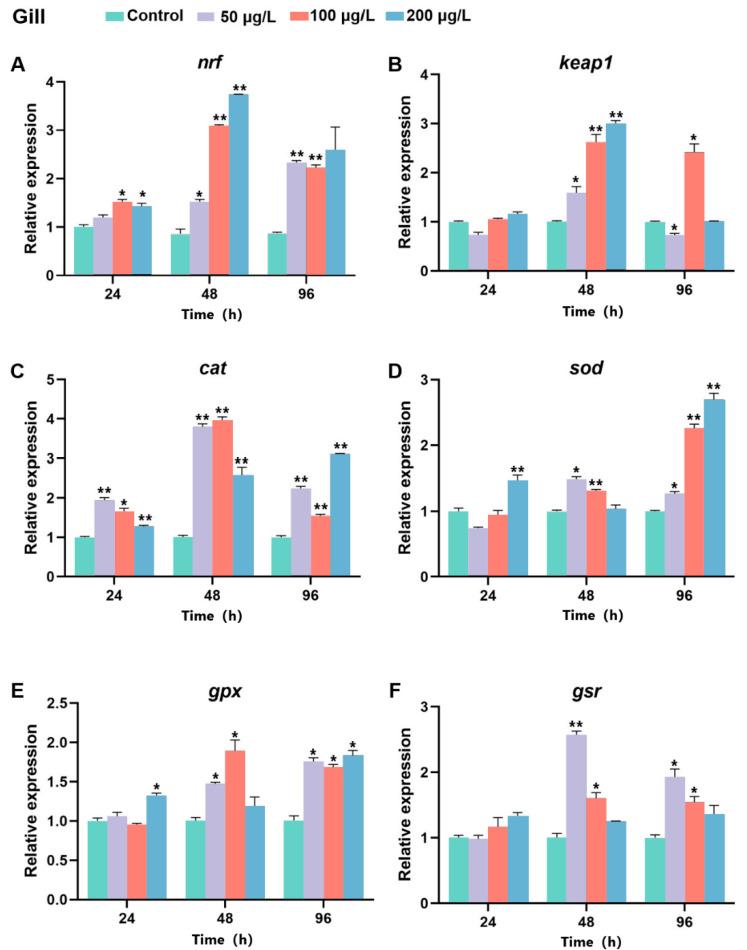 https://cdn.ncbi.nlm.nih.gov/pmc/blobs/9401/11989980/acc7bde9bae0/ijms-26-03427-g014.jpg