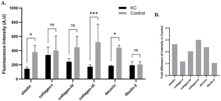 https://cdn.ncbi.nlm.nih.gov/pmc/blobs/9401/12361212/905e745fa756/fmed-12-1612452-g001.jpg