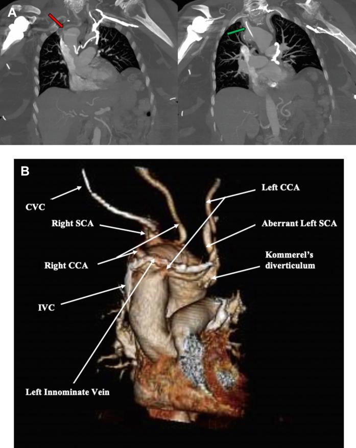 https://cdn.ncbi.nlm.nih.gov/pmc/blobs/9402/10300399/5c9bb0e96c36/gr2.jpg