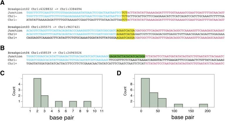 https://cdn.ncbi.nlm.nih.gov/pmc/blobs/9403/4461816/7f941ec133cc/elife-06516-fig5-figsupp2.jpg