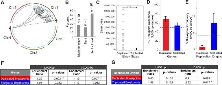 https://cdn.ncbi.nlm.nih.gov/pmc/blobs/9403/4461816/a58b79226121/elife-06516-fig5.jpg