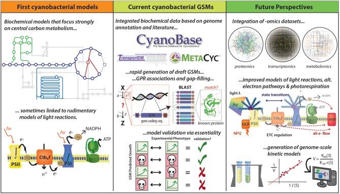 https://cdn.ncbi.nlm.nih.gov/pmc/blobs/9405/6400836/7c429a3a33e1/fbioe-07-00033-g0004.jpg