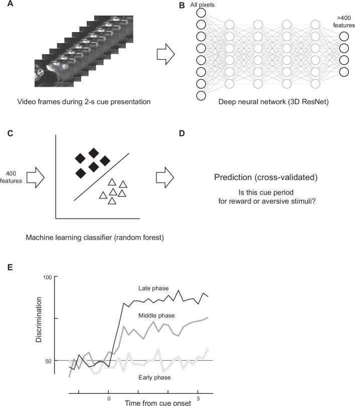 https://cdn.ncbi.nlm.nih.gov/pmc/blobs/9406/11095940/800f63dcecee/elife-91136-fig4-figsupp2.jpg