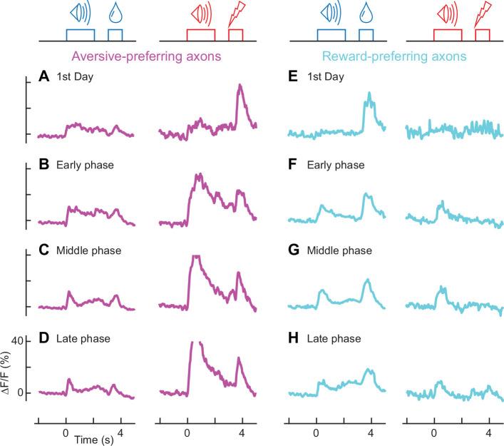 https://cdn.ncbi.nlm.nih.gov/pmc/blobs/9406/11095940/9fc85a014c89/elife-91136-fig3-figsupp2.jpg