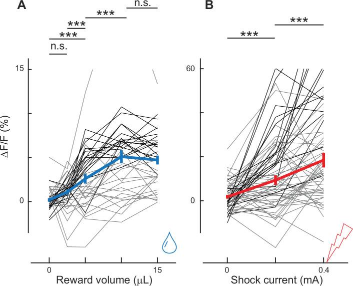 https://cdn.ncbi.nlm.nih.gov/pmc/blobs/9406/11095940/b68a153f18ff/elife-91136-fig2-figsupp4.jpg