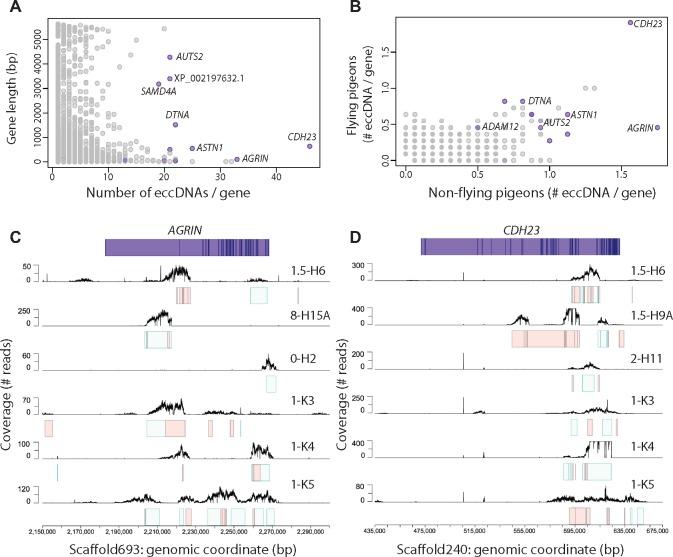 https://cdn.ncbi.nlm.nih.gov/pmc/blobs/9406/6993614/660e7423acec/evz281f5.jpg