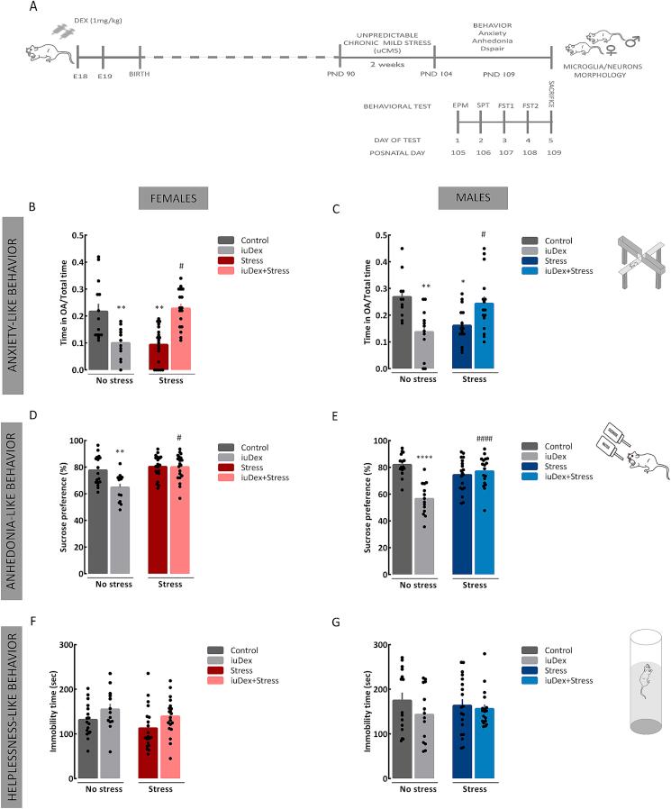 https://cdn.ncbi.nlm.nih.gov/pmc/blobs/9407/7879043/b8c71ab3b3df/gr1.jpg