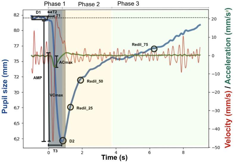https://cdn.ncbi.nlm.nih.gov/pmc/blobs/9408/11430400/9283f2d38893/brainsci-14-00875-g003.jpg