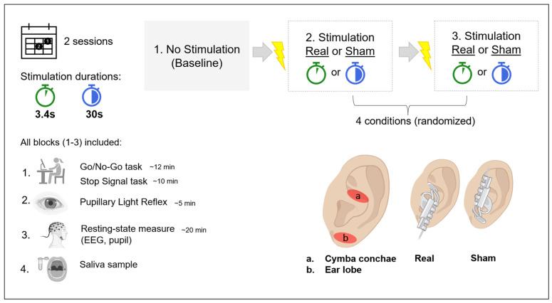 https://cdn.ncbi.nlm.nih.gov/pmc/blobs/9408/11430400/ad2114524697/brainsci-14-00875-g001.jpg