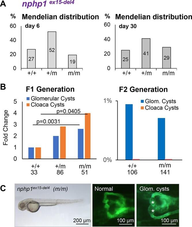 https://cdn.ncbi.nlm.nih.gov/pmc/blobs/9408/9759334/d267ad15966c/ddac160f1.jpg