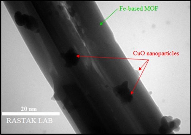 https://cdn.ncbi.nlm.nih.gov/pmc/blobs/9409/10514299/5df34b09c934/41598_2023_43045_Fig3_HTML.jpg