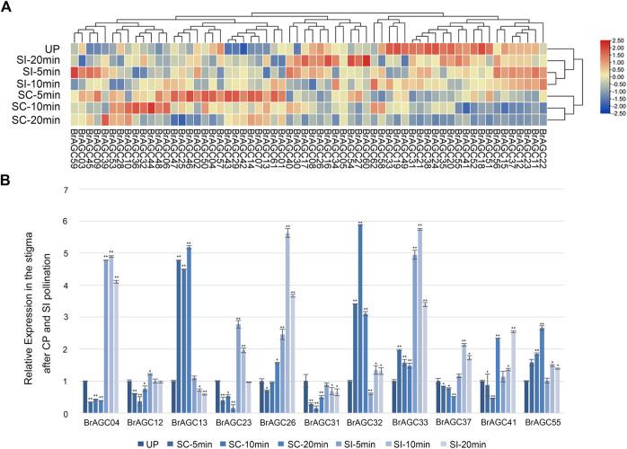 https://cdn.ncbi.nlm.nih.gov/pmc/blobs/9409/9644056/52419bf24d38/fgene-13-1044853-g007.jpg
