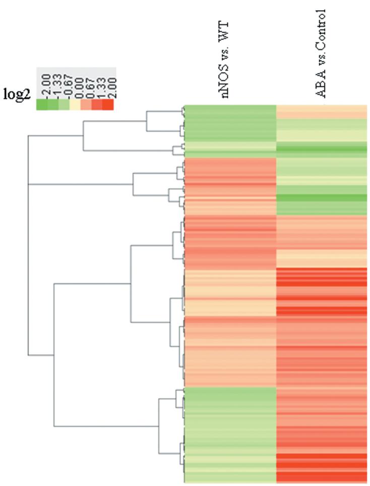 https://cdn.ncbi.nlm.nih.gov/pmc/blobs/940c/4112625/fc4e91804773/exbotj_eru184_f0005.jpg