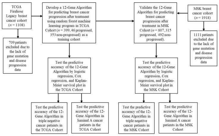 https://cdn.ncbi.nlm.nih.gov/pmc/blobs/940d/9657686/7b31c2d4e0c6/cancers-14-05322-g001.jpg
