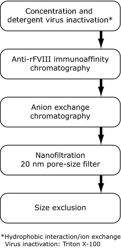 https://cdn.ncbi.nlm.nih.gov/pmc/blobs/940e/4232928/e4c23018939d/ejh0093-0369-f2.jpg