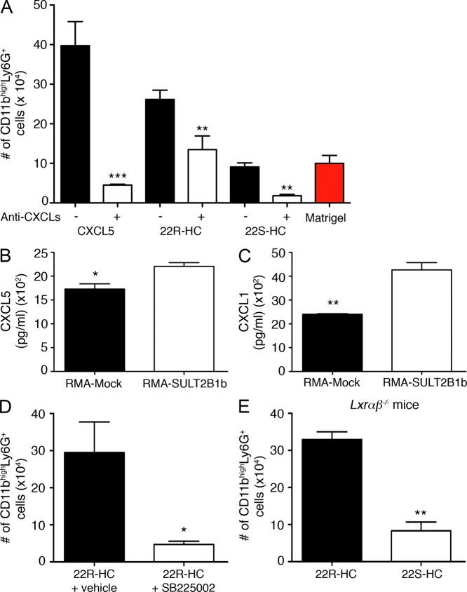 https://cdn.ncbi.nlm.nih.gov/pmc/blobs/9410/3754872/5b3f3a7c06d4/JEM_20130440_Fig6.jpg