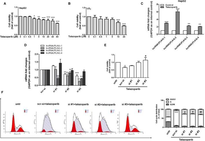 https://cdn.ncbi.nlm.nih.gov/pmc/blobs/9413/7205816/444605994517/JCMM-24-5304-g002.jpg