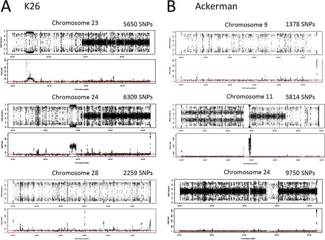 https://cdn.ncbi.nlm.nih.gov/pmc/blobs/9415/5596349/16d480c8e766/mbo0041734770002.jpg