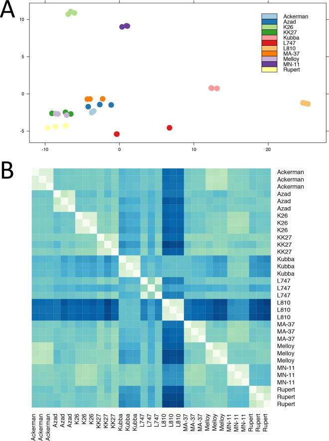 https://cdn.ncbi.nlm.nih.gov/pmc/blobs/9415/5596349/ba64aa30c97a/mbo0041734770005.jpg