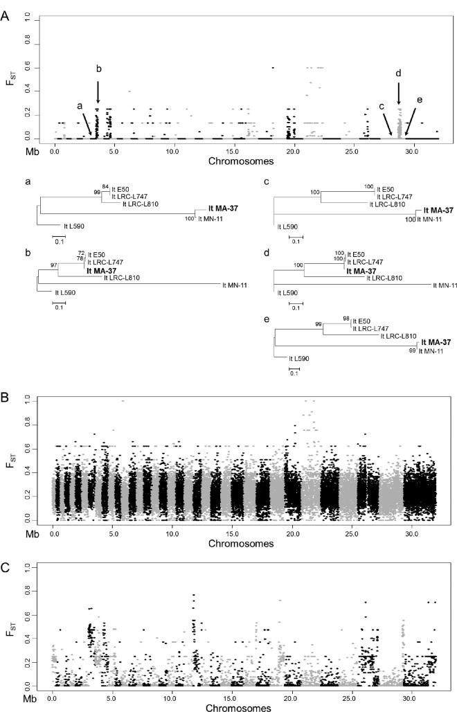 https://cdn.ncbi.nlm.nih.gov/pmc/blobs/9415/5596349/f2fb9c396d14/mbo0041734770003.jpg