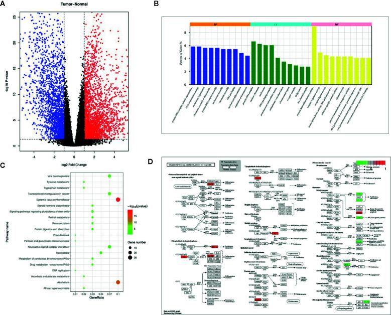 https://cdn.ncbi.nlm.nih.gov/pmc/blobs/9415/7821430/957c015614b4/fonc-10-613869-g001.jpg