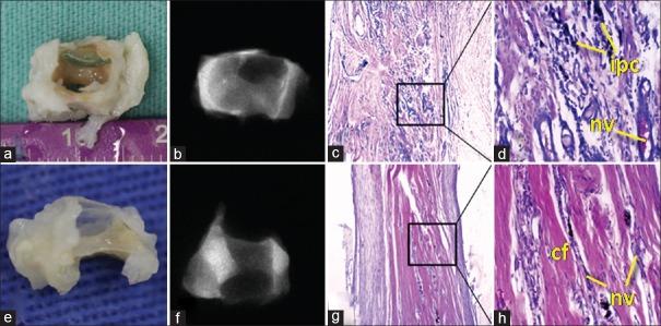 https://cdn.ncbi.nlm.nih.gov/pmc/blobs/9417/4979350/c3a07f377193/AMS-6-9-g005.jpg