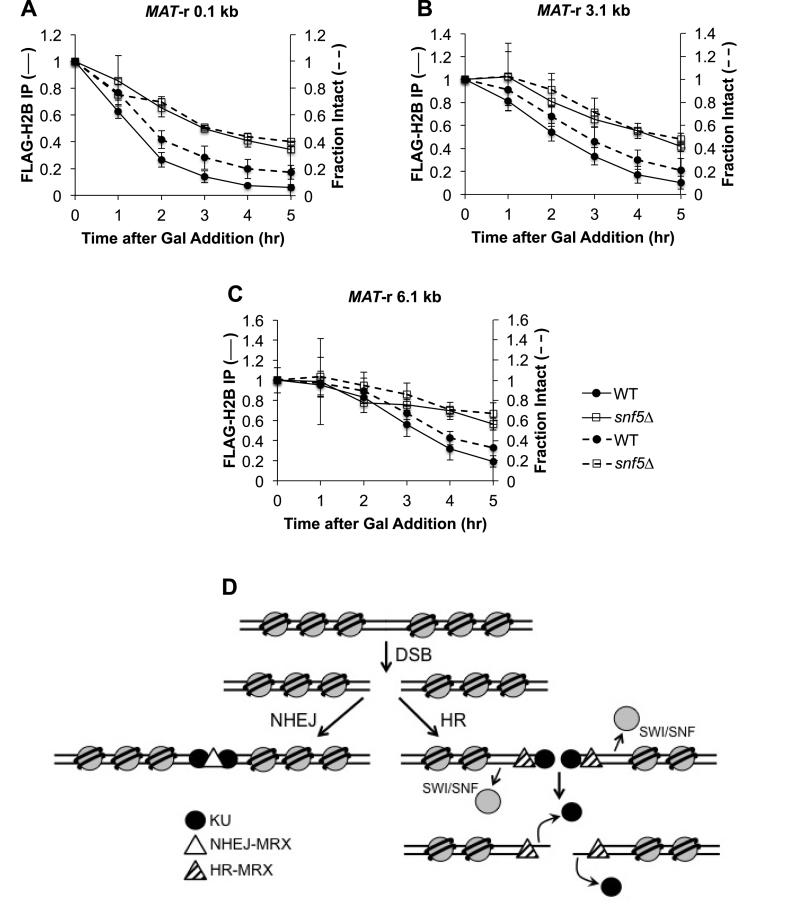 https://cdn.ncbi.nlm.nih.gov/pmc/blobs/9419/5449591/24541e34615e/gkx221fig5.jpg