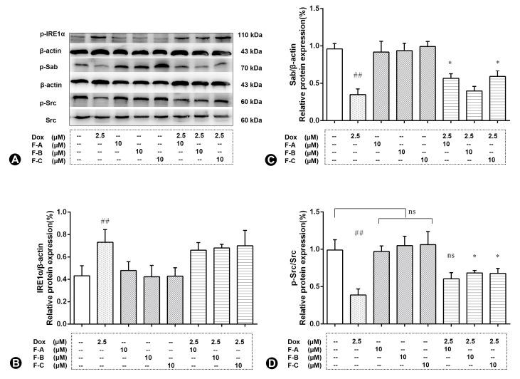 https://cdn.ncbi.nlm.nih.gov/pmc/blobs/941a/9961788/d034e9438726/ijms-24-03174-g008.jpg