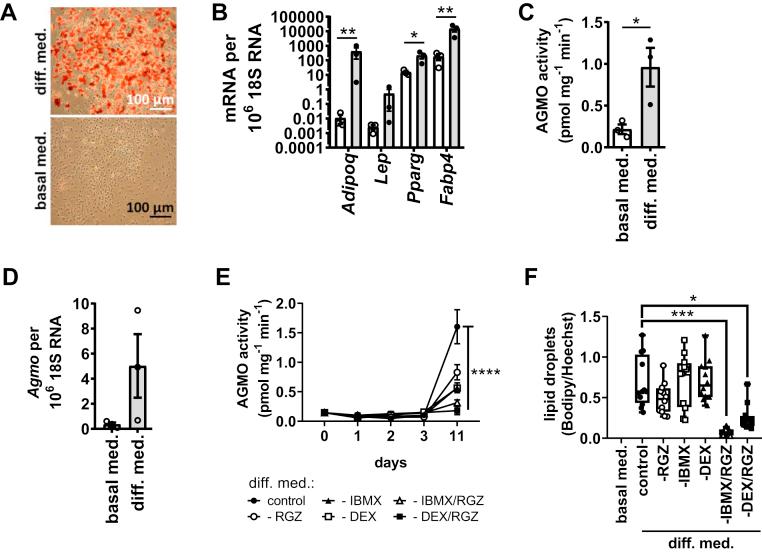 https://cdn.ncbi.nlm.nih.gov/pmc/blobs/941e/9192799/9683a8df8414/gr1.jpg