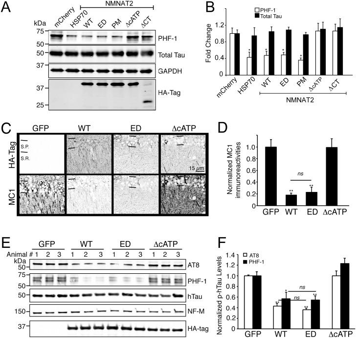 https://cdn.ncbi.nlm.nih.gov/pmc/blobs/941f/4890852/22b3801f7949/pbio.1002472.g003.jpg