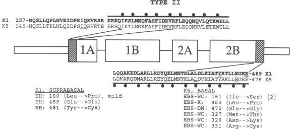 https://cdn.ncbi.nlm.nih.gov/pmc/blobs/9422/294170/45c7dc5ce946/jcinvest00033-0202-b.jpg