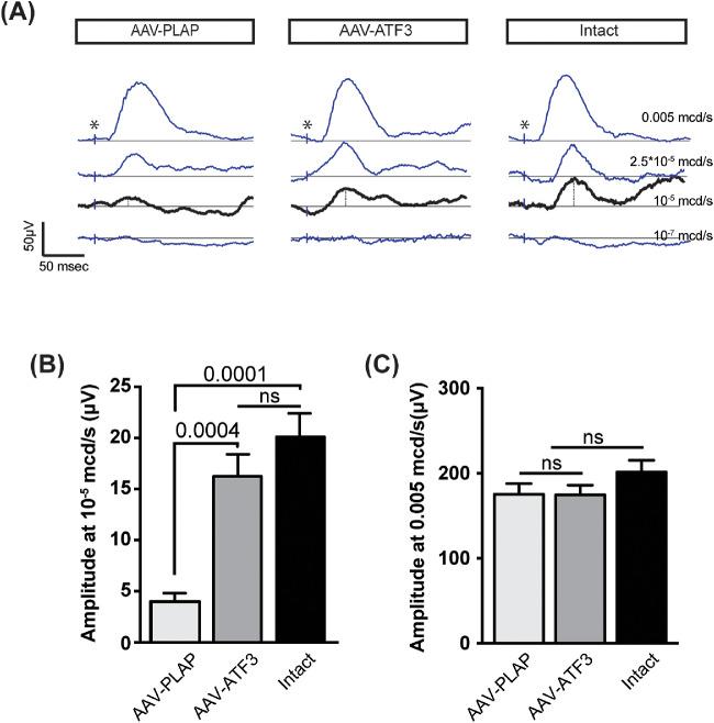 https://cdn.ncbi.nlm.nih.gov/pmc/blobs/9427/7326601/4d7d9347afee/iovs-61-2-31-f004.jpg