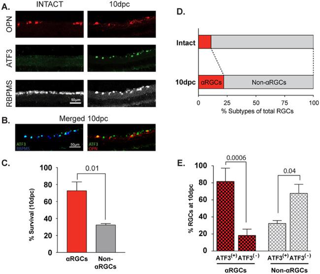 https://cdn.ncbi.nlm.nih.gov/pmc/blobs/9427/7326601/c2c982da7371/iovs-61-2-31-f001.jpg