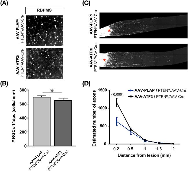 https://cdn.ncbi.nlm.nih.gov/pmc/blobs/9427/7326601/d57c65bc0bfd/iovs-61-2-31-f005.jpg