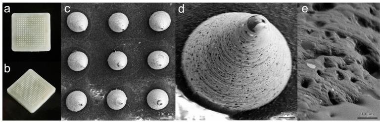 https://cdn.ncbi.nlm.nih.gov/pmc/blobs/9428/11675167/2d51d5e06ebb/gels-10-00838-g006.jpg