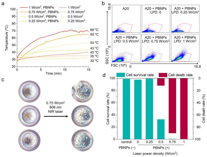 https://cdn.ncbi.nlm.nih.gov/pmc/blobs/9428/11675167/5f4c828141e6/gels-10-00838-g001.jpg