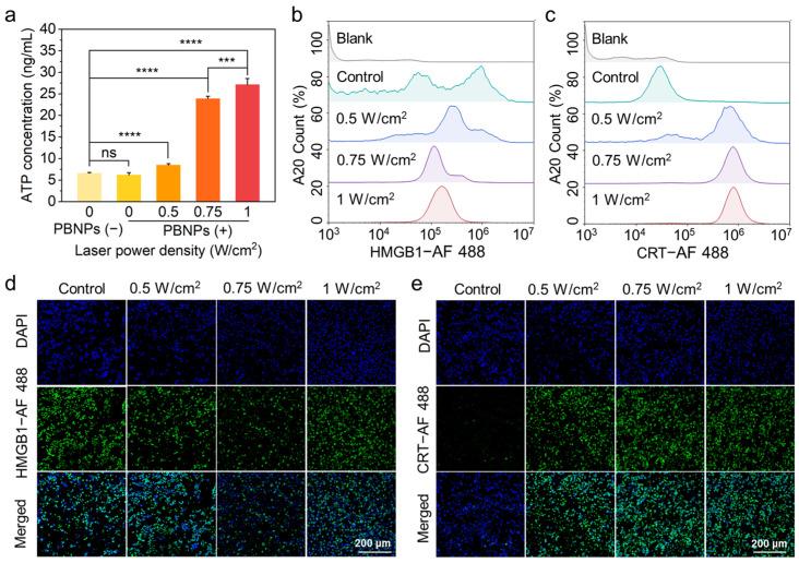 https://cdn.ncbi.nlm.nih.gov/pmc/blobs/9428/11675167/b15a7bc97ef1/gels-10-00838-g002.jpg